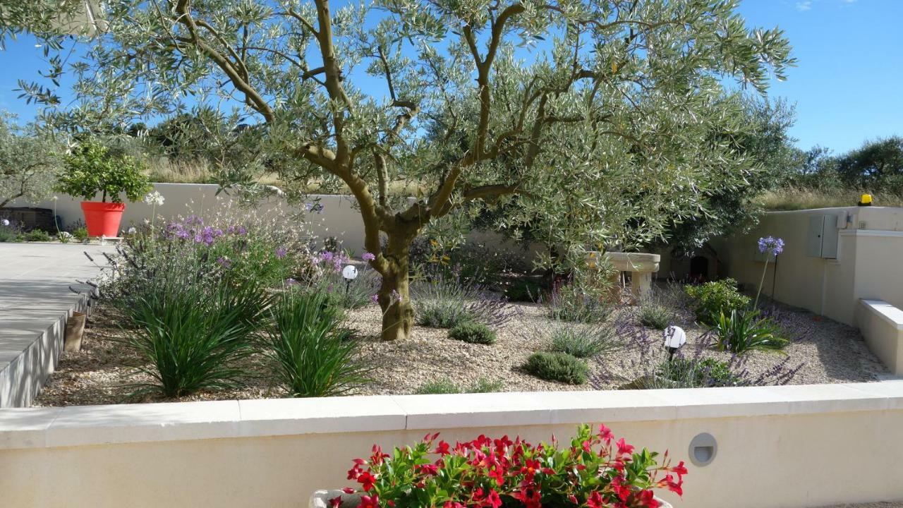 Les Lavandins-Gite Frédéric Saint-Rémy-de-Provence Exterior foto